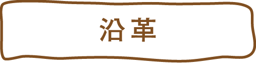 沿革