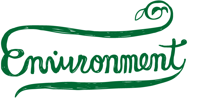 environment
